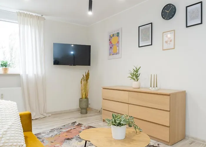 Διαμέρισμα Meczennikow Majdanka 49 *